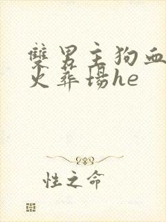 双男主狗血追妻火葬场he