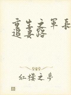 重生之军长漫漫追妻路