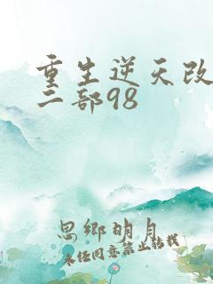 重生逆天改命第二部98