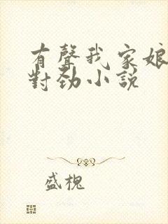 有声我家娘子不对劲小说