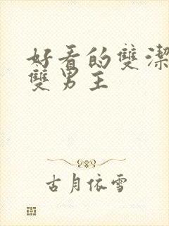 好看的双洁小说双男主