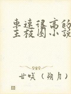 车速很高的双男主校园小说