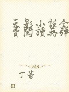 天影小说全文免费阅读无弹窗