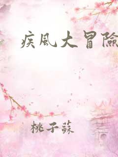 疾风大冒险游戏