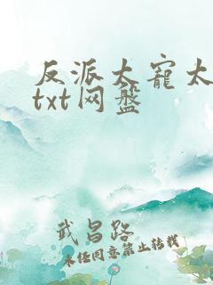 反派太宠太撩人txt网盘