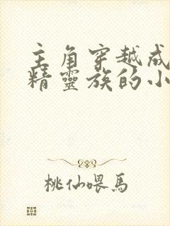 主角穿越成西幻精灵族的小说