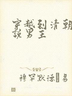 穿越到清朝的小说男主