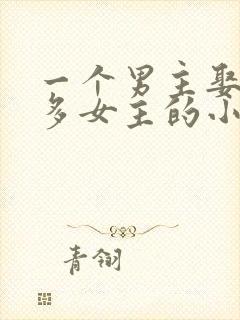 一个男主娶了很多女主的小说