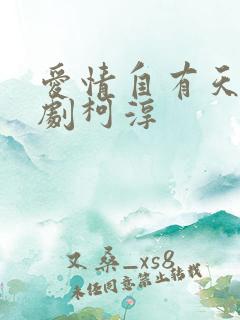 爱情自有天意短剧柯淳