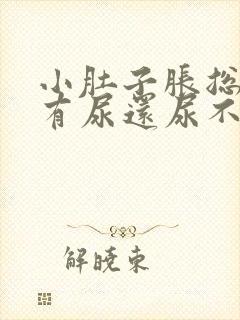 小肚子胀总感觉有尿还尿不出来多点