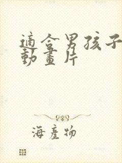 适合男孩子看的动画片