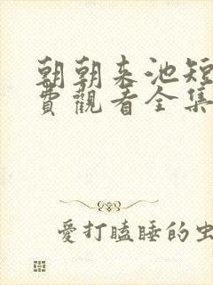 朝朝来池短剧免费观看全集