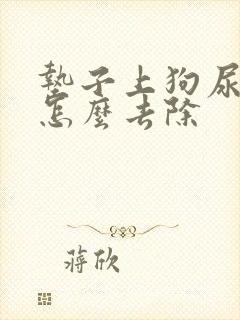 垫子上狗尿骚味怎么去除