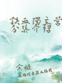 铁血独立营剧情分集介绍