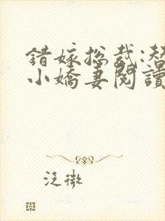 错嫁总裁:替身小娇妻阅读全