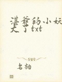 湛爷的小妖精长大了txt