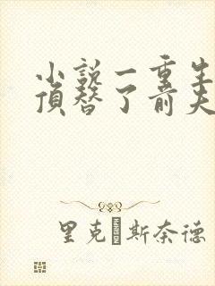 小说一重生后我顶替了前夫白月光