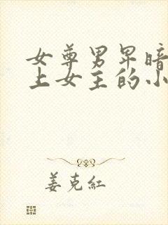 女尊男卑暗卫爱上女主的小说