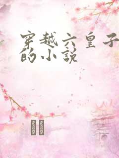 穿越六皇子云峥的小说