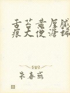 舌苔黄厚腻有齿痕大便溏稀