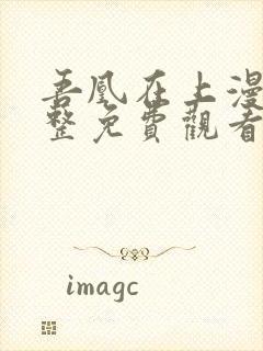 吾凰在上漫画完整免费观看