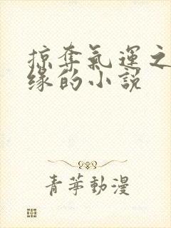 掠夺气运之子机缘的小说