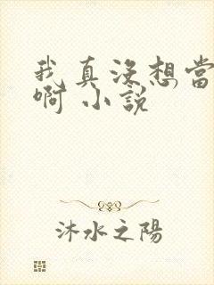 我真没想当皇帝啊 小说