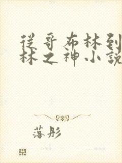 从哥布林到哥布林之神小说