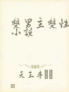 双男主双性调教小说