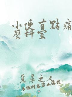 小便有点痛挂什么科室