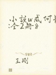 小说w成何体统:全2册》