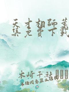 天才相师叶天全集免费下载