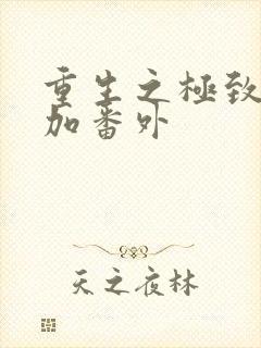 重生之极致宠婚加番外