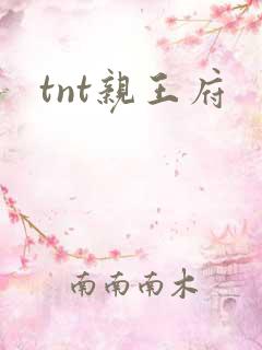 tnt亲王府