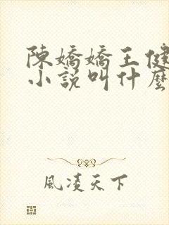 陈娇娇王健强的小说叫什么