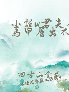 小说w君夫人的马甲层出不穷