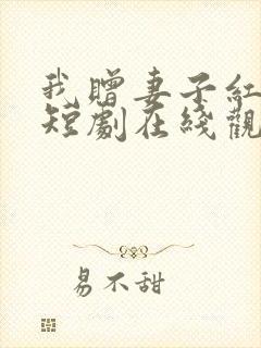 我赠妻子红缨枪短剧在线观看全集