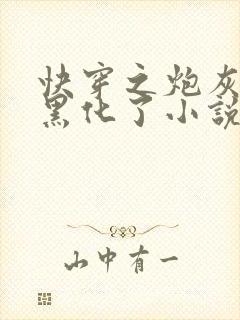 快穿之炮灰她又黑化了小说