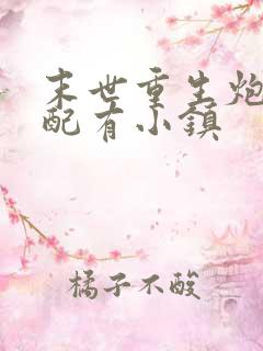 末世重生炮灰女配有小镇