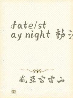 fate/stay night 动漫