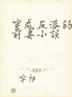 穿成反派的炮灰前妻小说