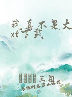 我真不是大佬txt下载