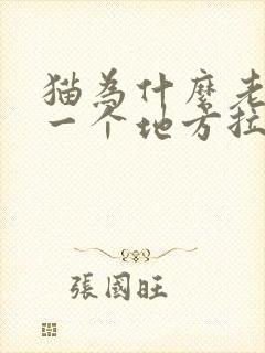 猫为什么老是在一个地方拉尿