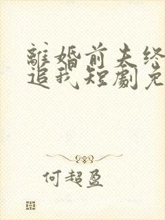 离婚前夫终是想追我短剧免费观看