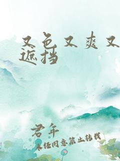 又色又爽又黄无遮挡