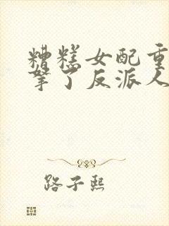 糟糕女配重生后拿了反派人设txt