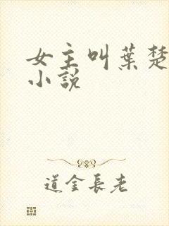 女主叫叶楚瑶的小说