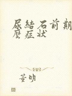 尿结石前期是什么症状