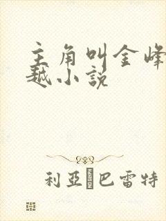 主角叫金峰的穿越小说