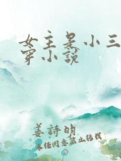 女主是小三的快穿小说